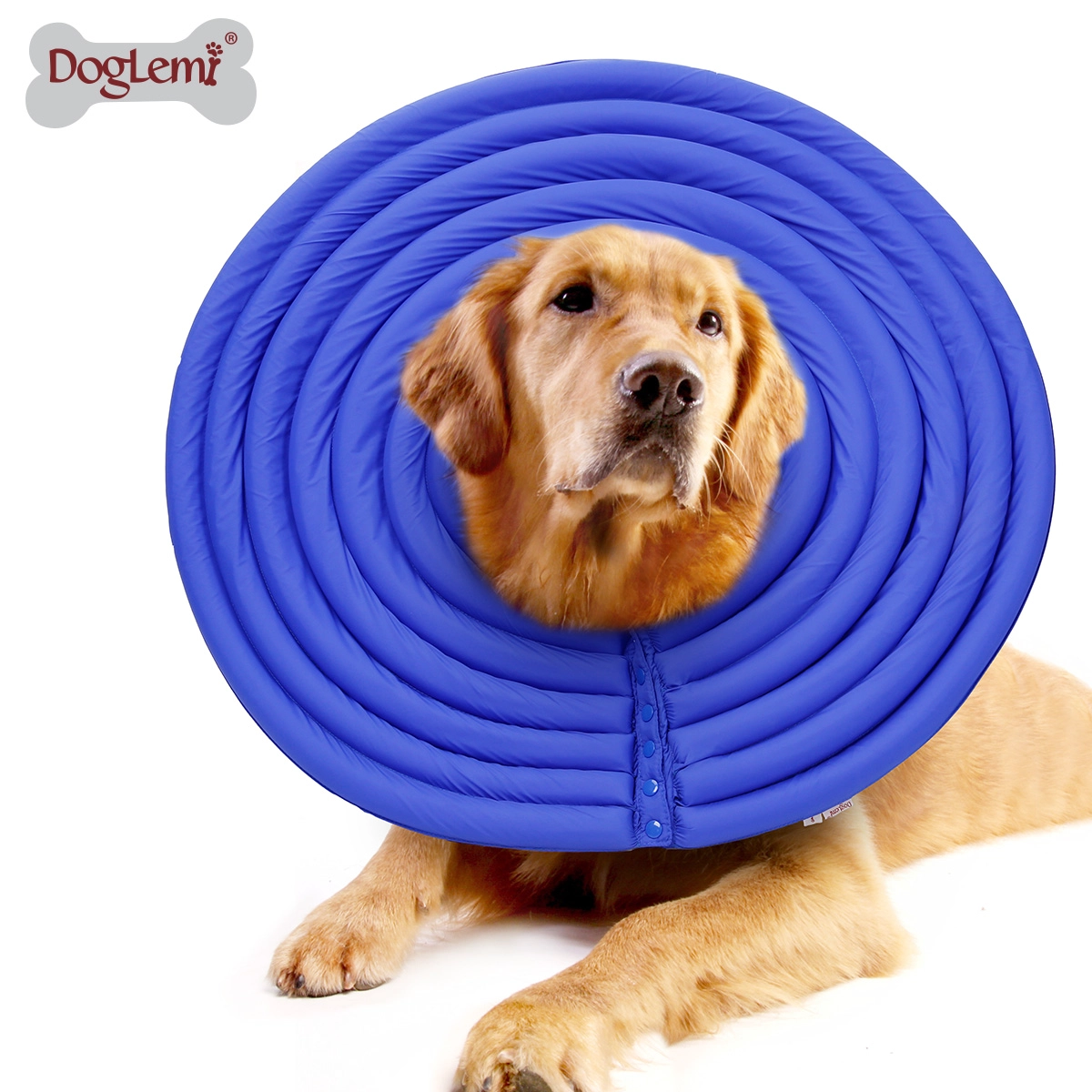 Collier électronique de récupération pour chien et chat