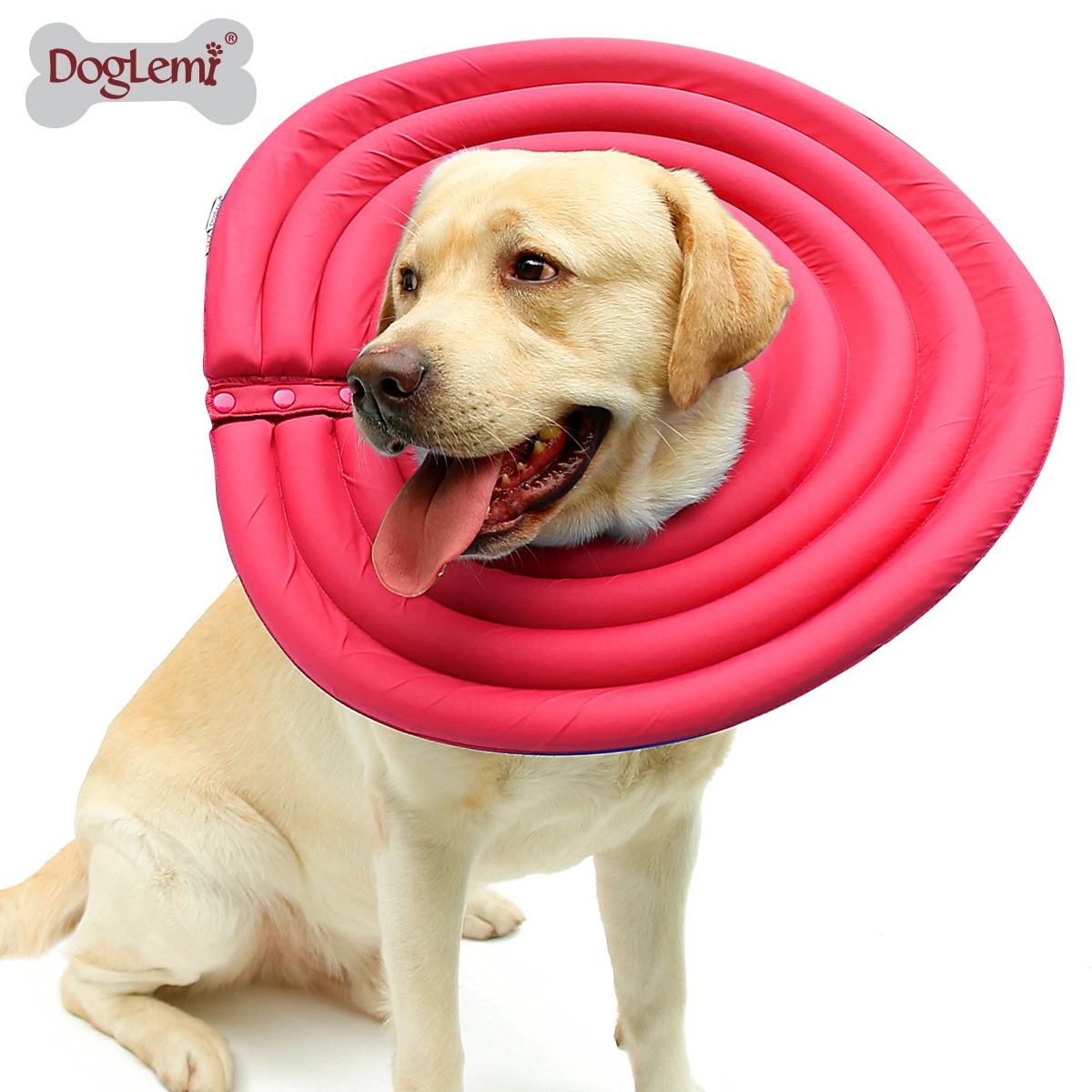 Collier électronique de récupération pour chien et chat