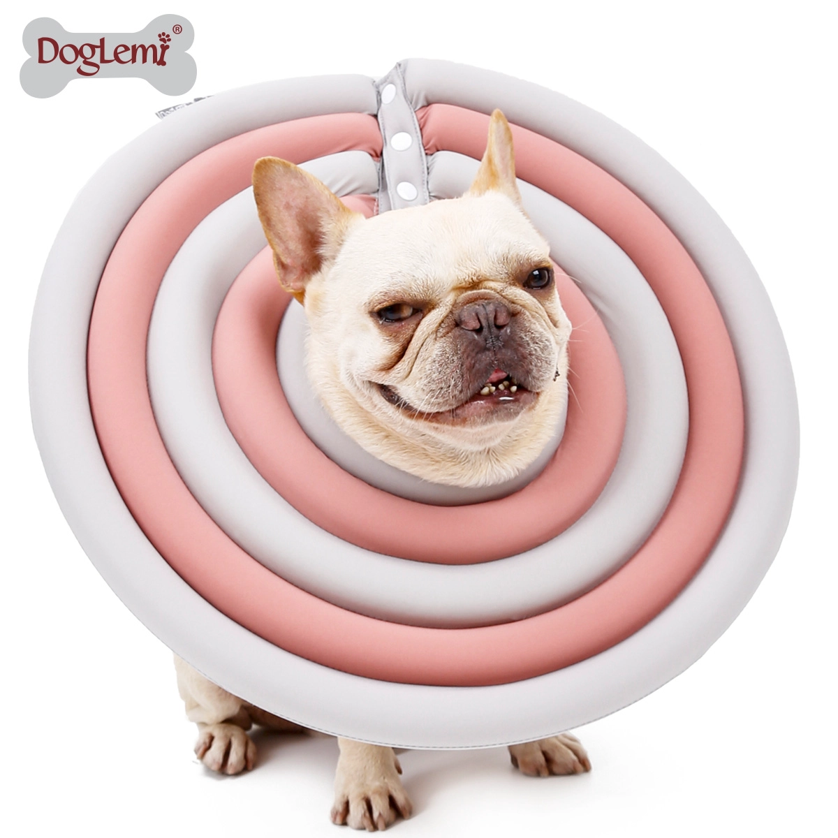 Collier électronique de récupération pour chien et chat