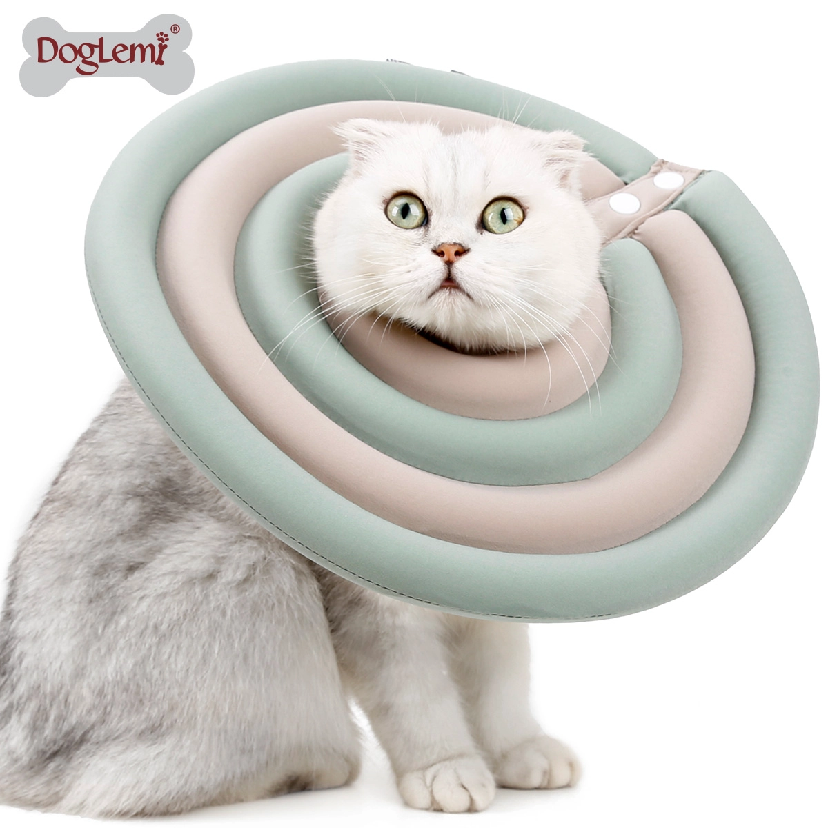Collier électronique de récupération pour chien et chat