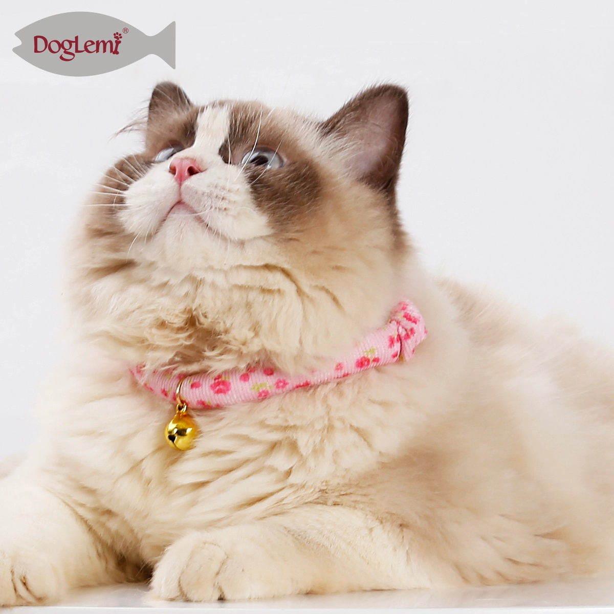 Runder Katzenhalsband