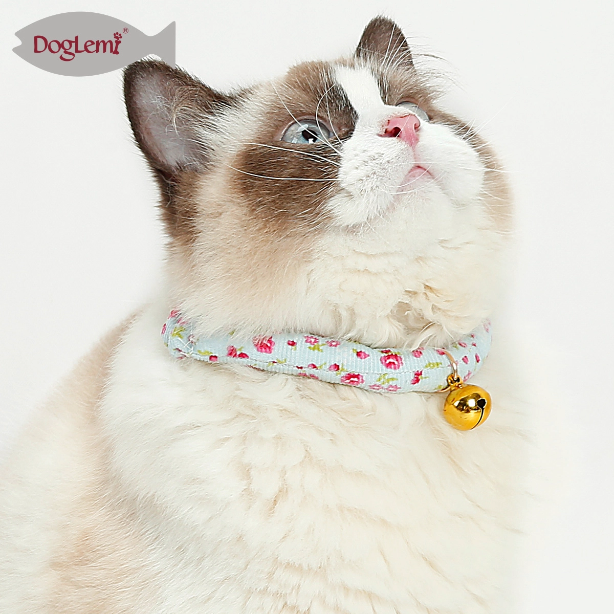 Runder Katzenhalsband