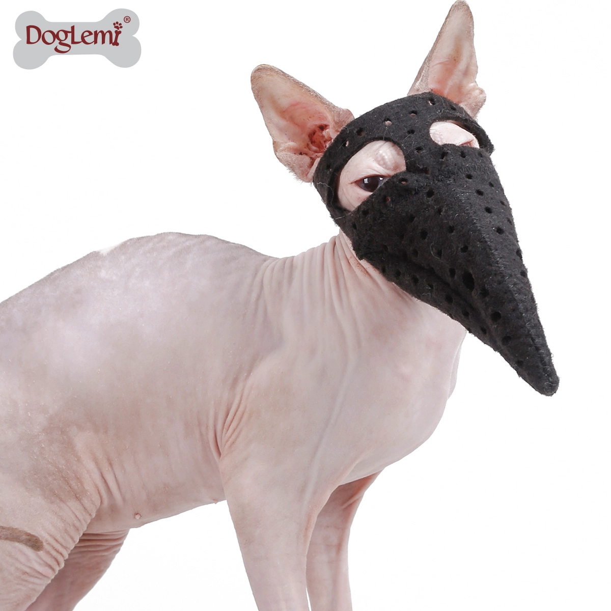 Miedo mascota pico médico halloween boca cubierta