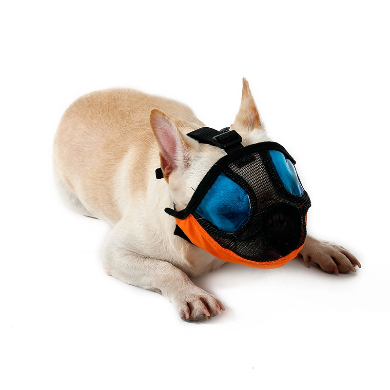 Short Snout Dog Muzzle