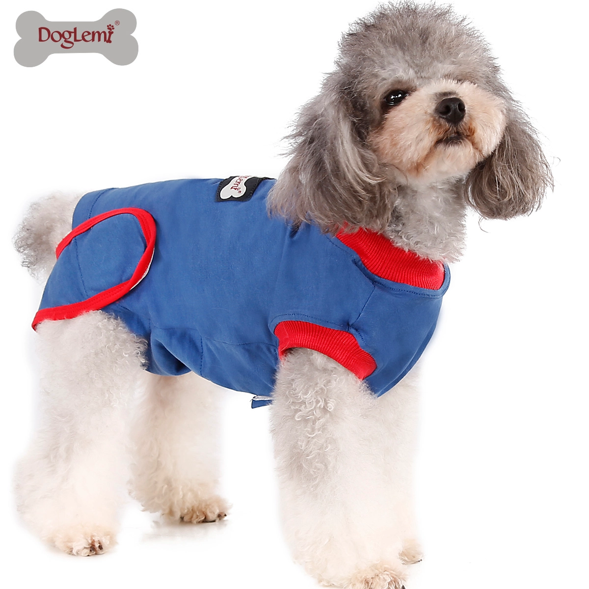 Recuperación de cirugía ropa para perros.