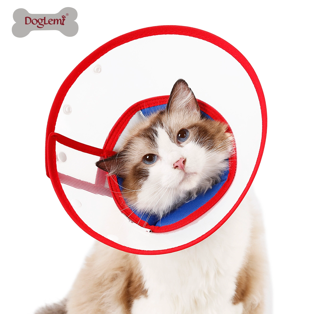 Cercle Elizabeth transparent pour animaux de compagnie