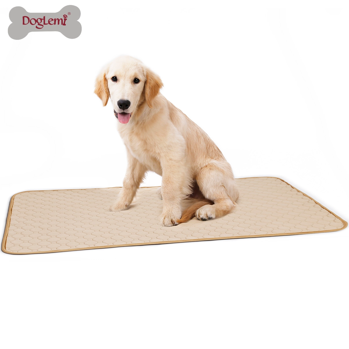 Washable pet diapers