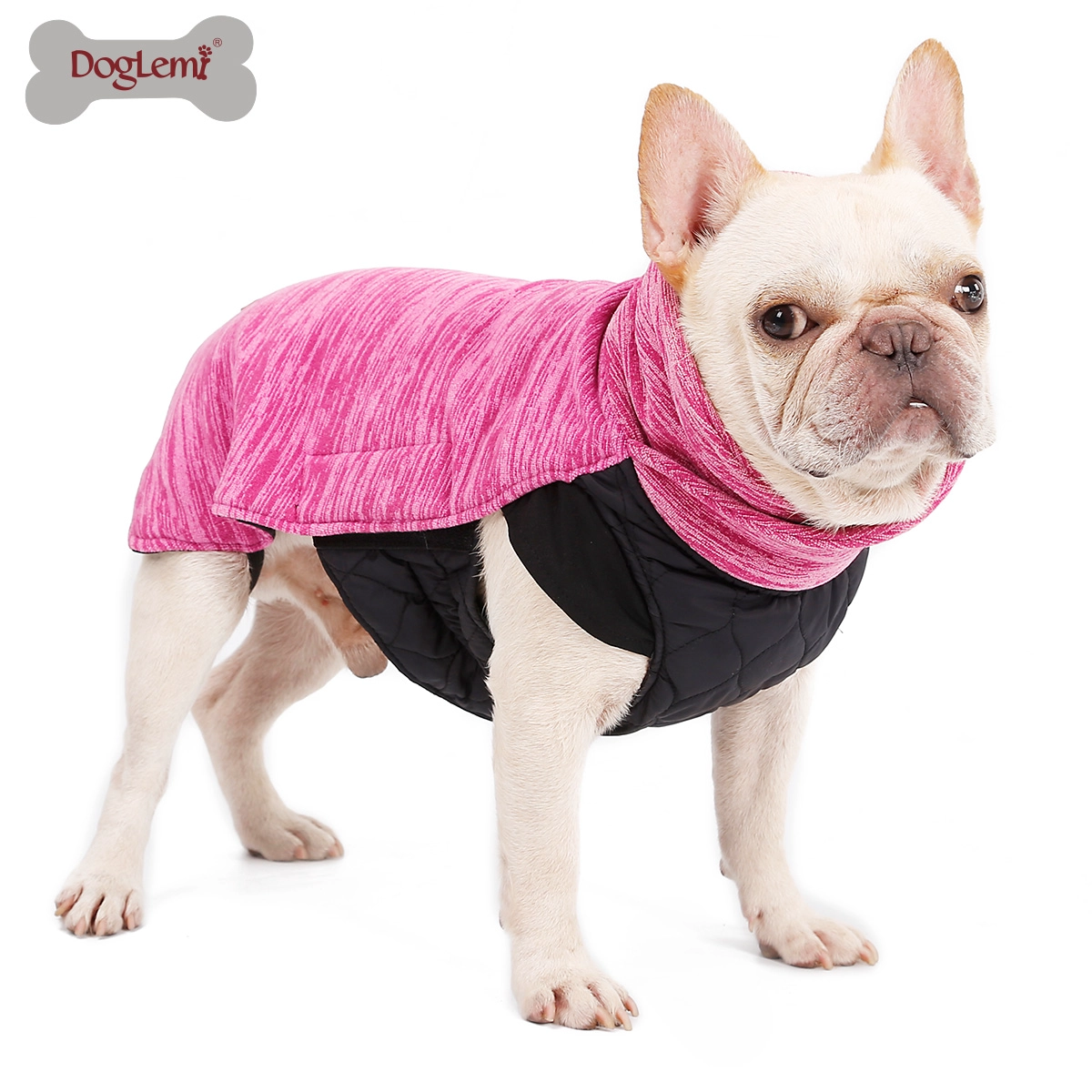 Winter Dog Coat