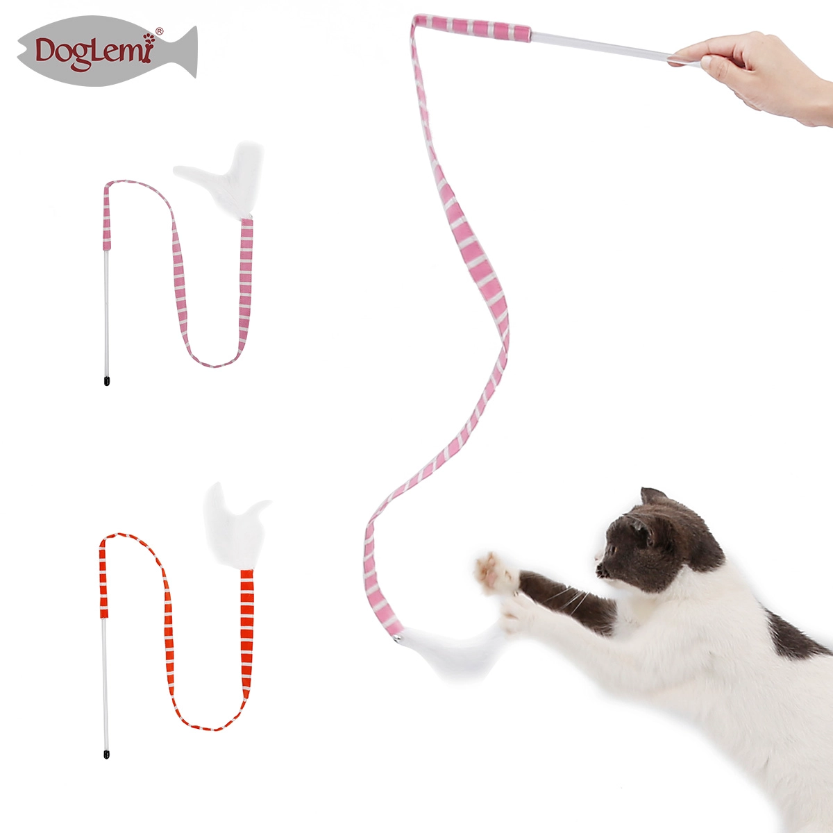 teaser de gato