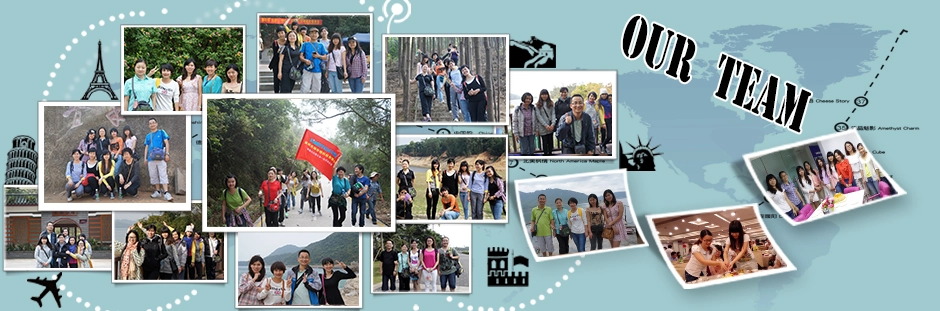 our team
