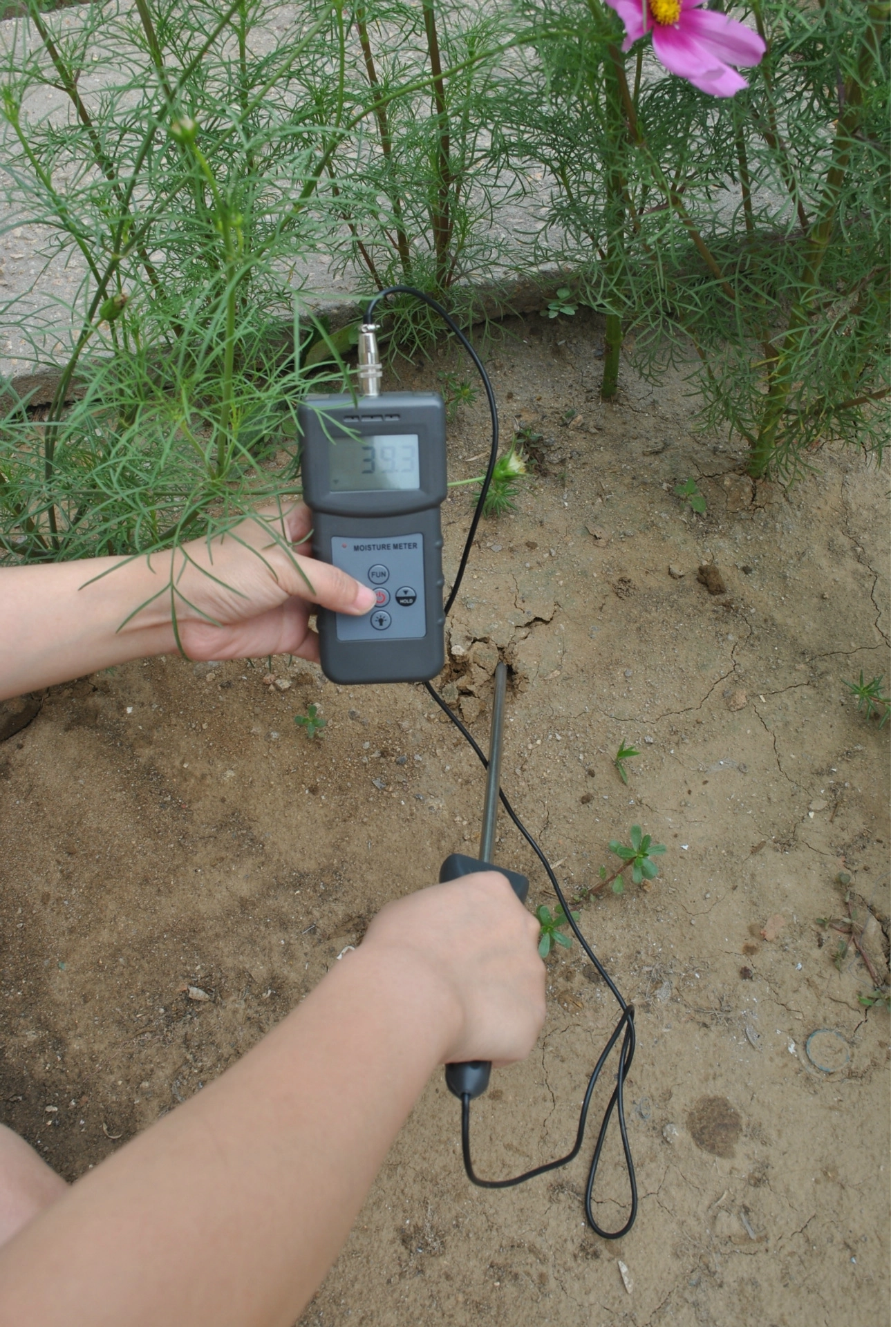 PMS710 Digital Soil Moisture Meter