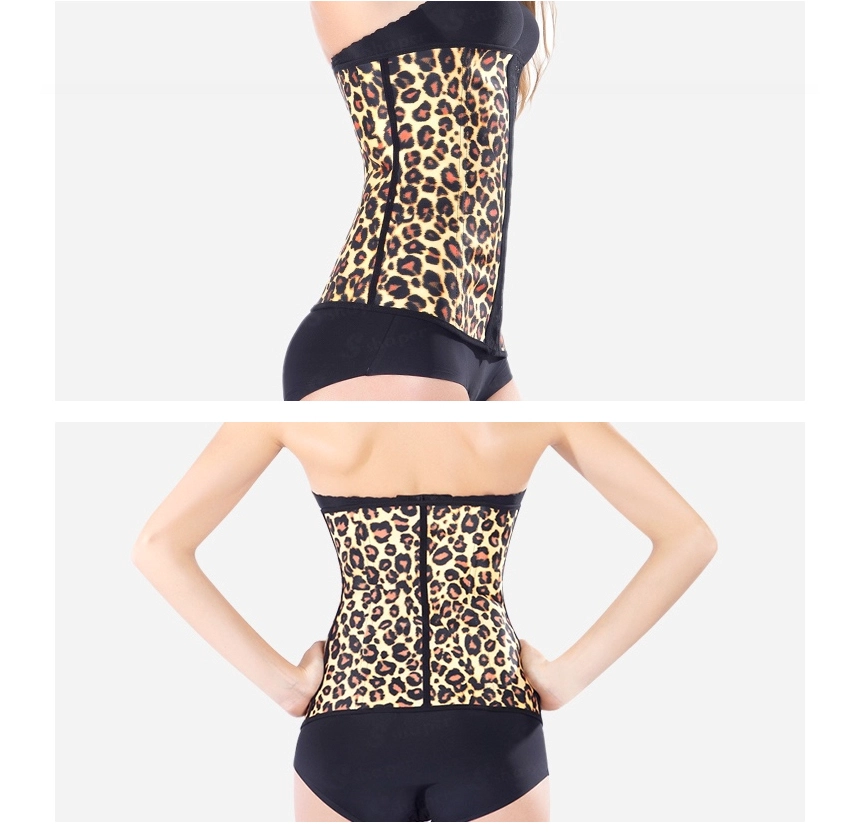 China Animal Print Girdle Supplier_03