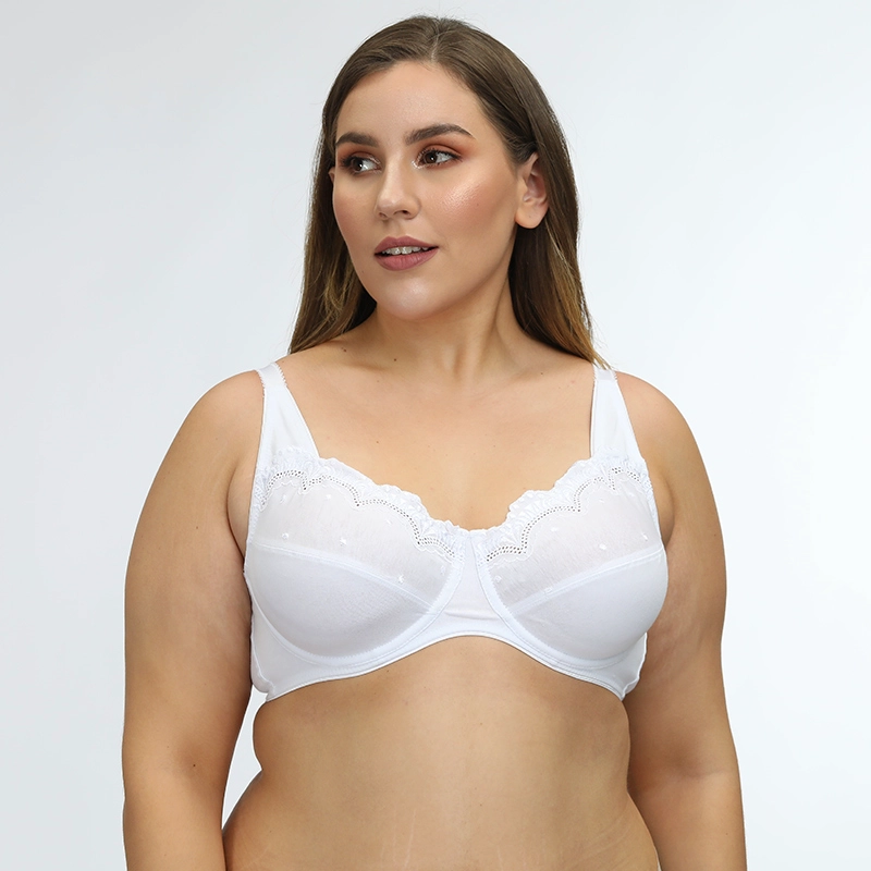 Plus Size Bra Supplier, China plus size underwear sale