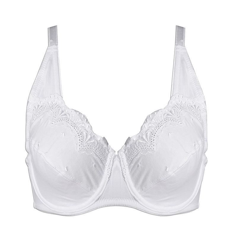 Plus Size Bra Supplier, China plus size underwear sale
