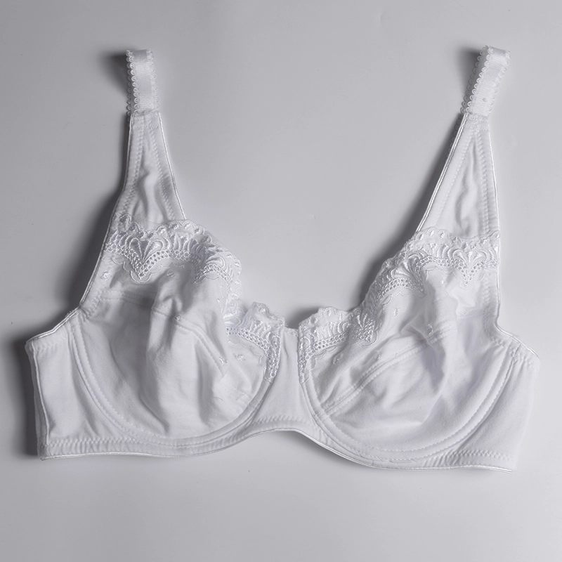 Plus Size Bra Supplier, China plus size underwear sale