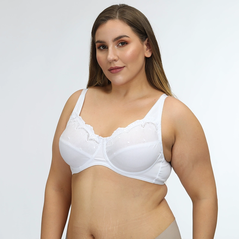 Plus Size Bra Supplier, China plus size underwear sale
