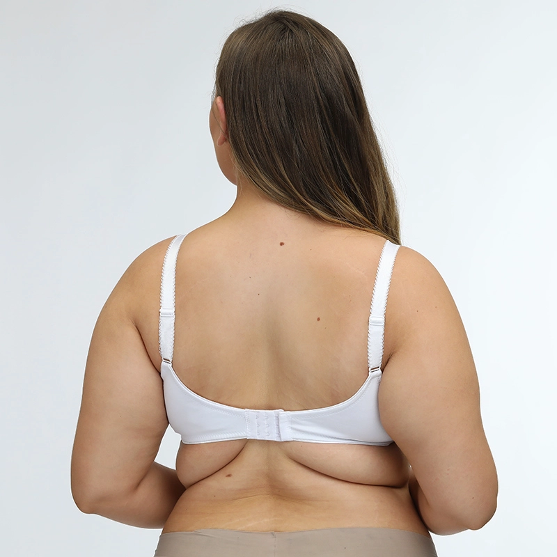Plus Size Bra Supplier, China plus size underwear sale