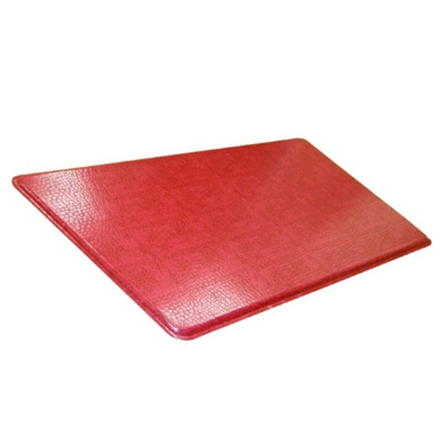 Indoor Super Absorbs Mud Doormat Latex Backing Non Slip Door Mat for Small Front Door Inside Floor Dirt Trapper Mats