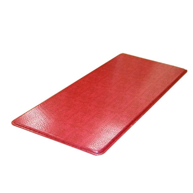 Indoor Super Absorbs Mud Doormat Latex Backing Non Slip Door Mat for Small Front Door Inside Floor Dirt Trapper Mats