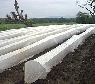Anti-UV Non-woven Fabric Manufacturer, Degradable Nonwovens Factory, UV Resistant Nonwoven Wholesale