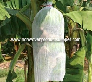 Spunbond Non Woven Bagging Manufacturer, China Nonwoven Bagging Vendor, Non Woven Fruit Bag Wholesale