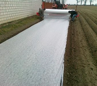 Agricultural Fabric Supplier, Agriculture Cover Factory, Agricultural Covering Nonwovens Wholesale