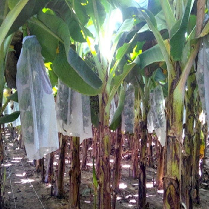 Banana Protection Cover Factory, Non-pollution Banana Protection Cover, Banana Cover Manufacturer In China