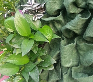China Root Pouch Vendor, Grow Bags Supplier, Plant Bag Wholesale