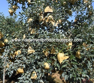 China Fruit Bag Wholesale, Insect Prevention Bag Vendor, Non Woven Dustproof Bag On Sales