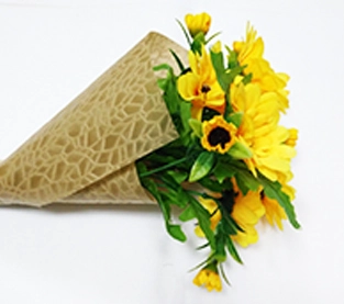 PP Non-woven Fabric Manufacturer, PP Non Woven Cloth On Sales, Polypropylene Non-woven Material Manufacturer