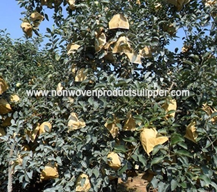 China Spunbond Non Woven Bag Supplier, Fruit Non Woven Bag On Sales, Fruit Protection Bag Company