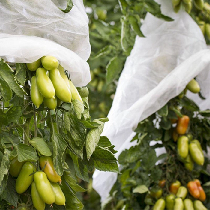 Fruit Protection Bags Wholesale, Eco-friendlyFruit Protection Bags PP Non Woven Fabric, Fruit Growing Bags VendorIn China