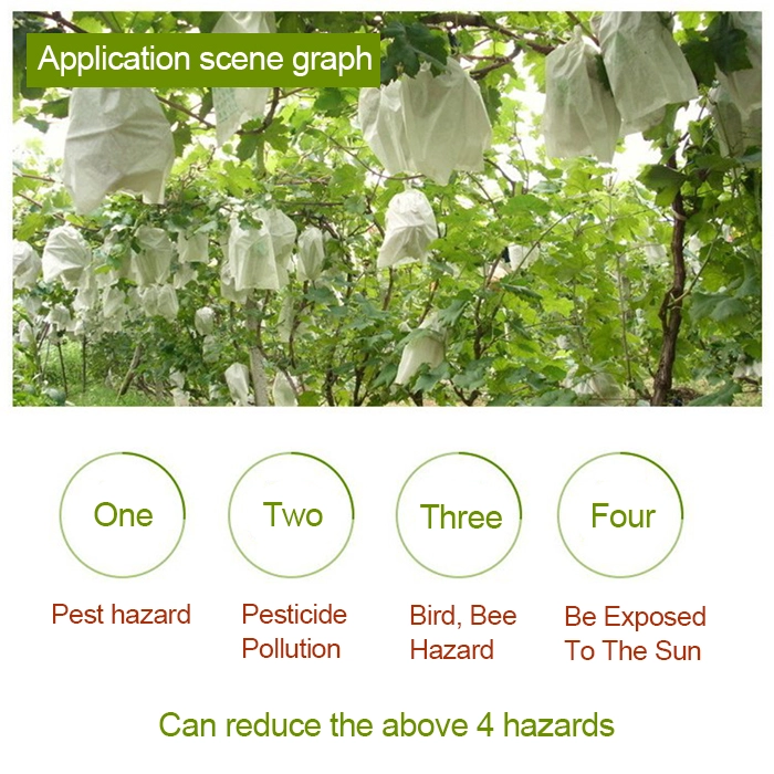 Protection Grape Bag Factory, Polypropylene Non Woven Spunbond Protection Grape Bag, Nonwoven Grape Bag Supplier In China