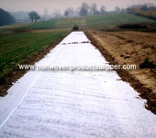 China Agricultural Non Wovens Supplier, Spun Bonded Non Woven Wholesale, Hydrophilic Non Woven Fabric Factory