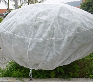 China PP Spunbonded Nonwoven Fabric Manufacturer, Agricultural Nonwovens Greenhouses On Sales, Non Woven Mulch Wholesale