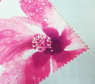 China SS Non Woven Fabric Supplier, Non Woven Polypropylene Fabric Wholesale Manufacturer, SS Non Woven Fabric Factory