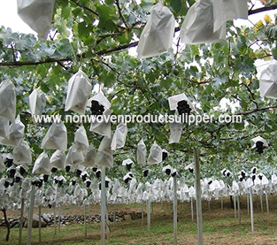 China Nonwoven Bagging Wholesale, Agricultural Fruit Bag Factory, Non Woven Grape Bagging Vendor