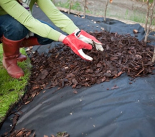 Garden Weed Fabric Factory, Weed Barrier Mat Manufacturer, Ground Control Fabric Wholesale