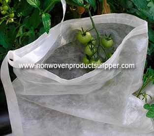 China Fruit Bag Company, Insect Prevention Bag On Sales, Non Woven Dustproof Bag Wholesale