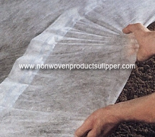 China Agricultural Non Wovens Supplier, Spun Bonded Non Woven Wholesale, Hydrophilic Non Woven Fabric Factory