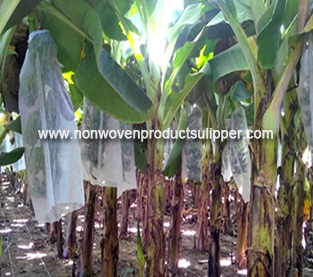 China Fruit Bag Manufacturer, Insect Prevention Bag Supplier, Non Woven Dustproof Bag Factory