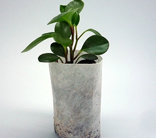China Nursery Bag Company, Non Woven Seedling Bag Vendor, Nursery Bag Supplier