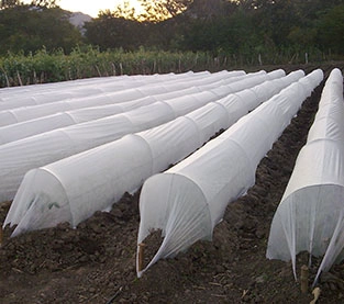 Agricultural Nonwovens On Sales, Agricultural Nonwovens Greenhouses Factory, Agricultural Shade Cloth Company