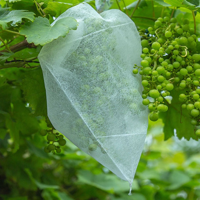 Fruit Growing Bags Company, Promotion And Protection Fruit Growing Bags, Fruit Protection Bags Vendor In China