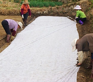 China Spunbond Non Woven Bag On Sales, Non Woven Nursery Bag Wholesale, China Seedling Bag Supplier