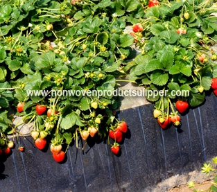 China Weed Control Fabric Vendor, Agricultural Nonwovens Wholesale, Agricultural Non Woven Fabric Factory