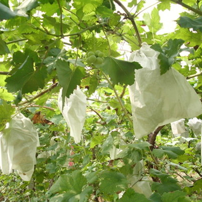 Grape Cluster Bags Vendor, Reusable PP Fabric Grape Cluster Bags, Grape Protection Bags On Sales In China