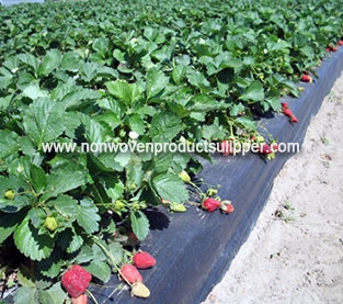 China Spunbond Non Woven Bag Factory, Agricultural Covering Nonwovens  Wholesale, Weed Control Fabric Manufacturer