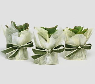 Garden Weed Barrier Wholesale, Biodegradable Landscape Fabric Supplier, Non Woven Mulch On Sales