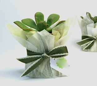 Garden Weed Barrier Wholesale, Biodegradable Landscape Fabric Supplier, Non Woven Mulch On Sales